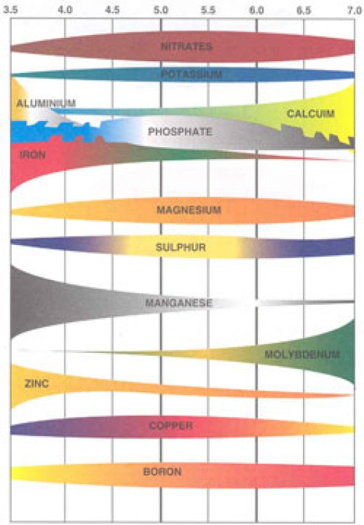 Figuur 1  Schematische weergave van effect van pH-KCl op de beschikbaarheid van nutrienten